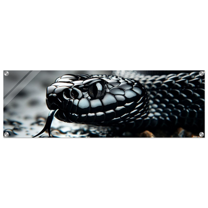 ac4281a9-e15d-4906-96eb-ef65d129f988