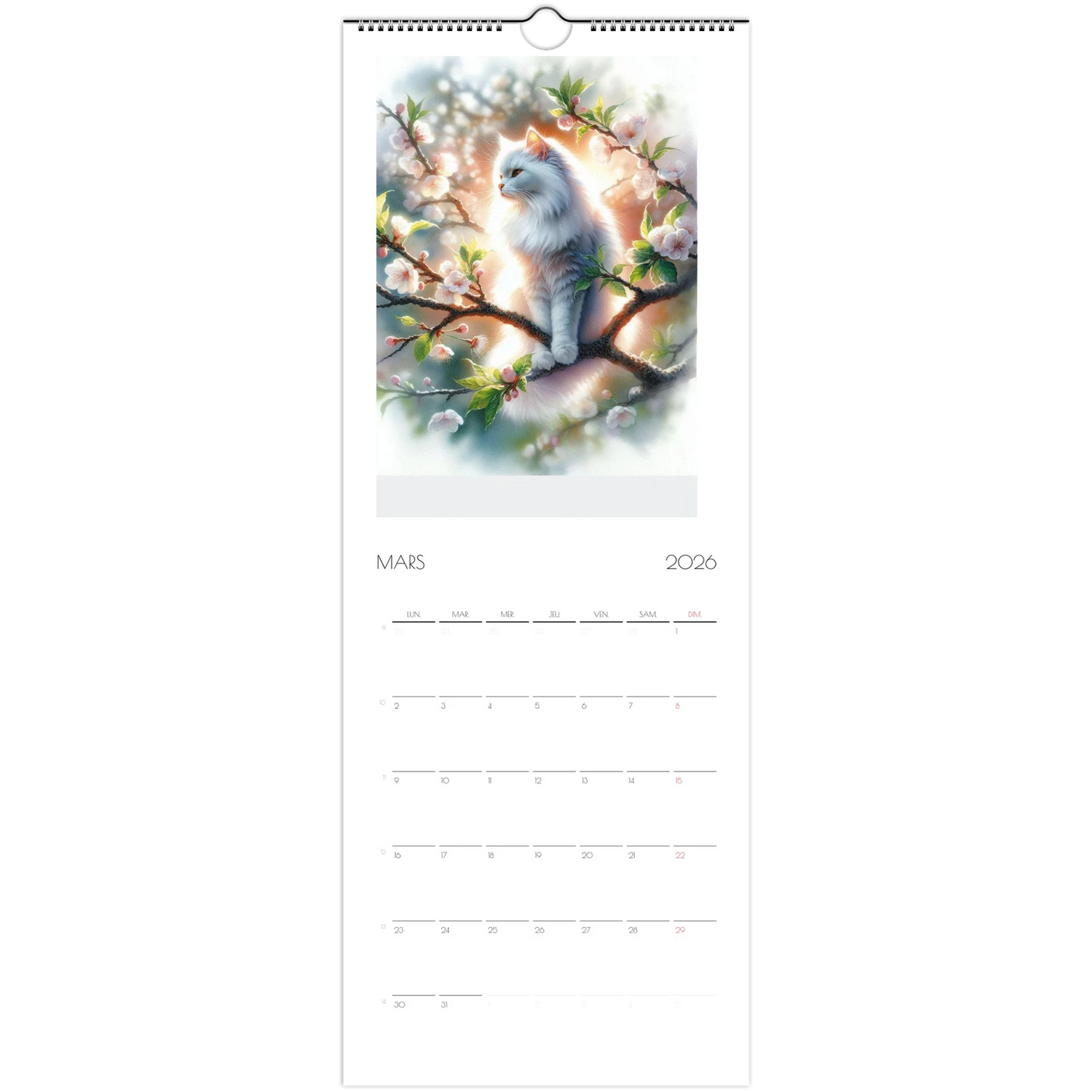 c602bd16-0926-4dec-9d26-f56d5f25b70b